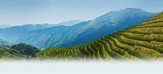 开云首页入口-关于w-?d#
